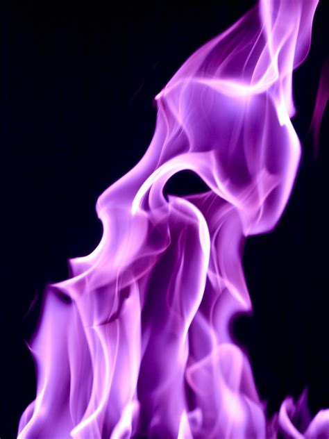 fireviolet|Flame Violet